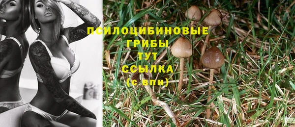 дмт Магадан